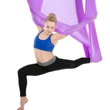 Load image into Gallery viewer, Aerial Yoga Swing