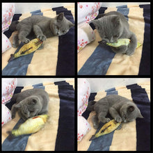 Load image into Gallery viewer, Floppy Fish Cat Toy