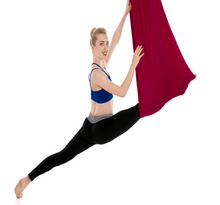 Load image into Gallery viewer, Aerial Yoga Swing