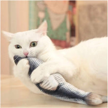 Load image into Gallery viewer, Floppy Fish Cat Toy