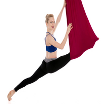 Load image into Gallery viewer, Aerial Yoga Swing
