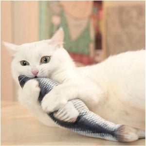 Floppy Fish Cat Toy